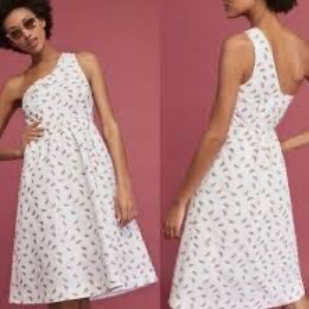 Anthropologie HD in Paris Parkbound One Shoulder Watermelon Dress 10
